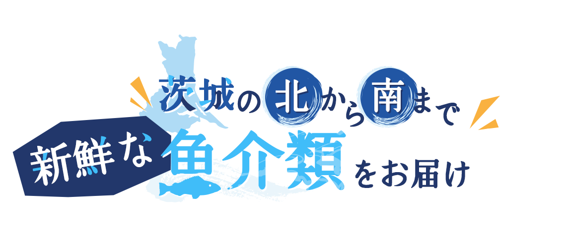 茨城の北から南まで新鮮な魚介類をお届け